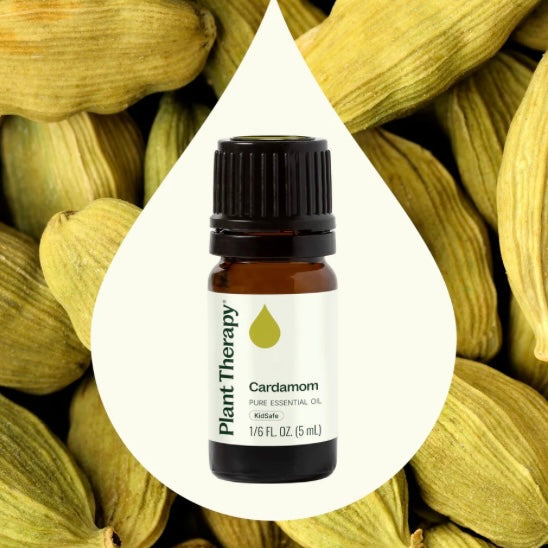 Cardamom Essential Oil