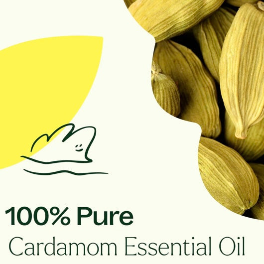 Cardamom Essential Oil