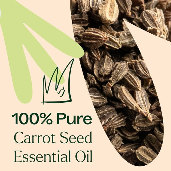 Carrot Seed Essential Oil