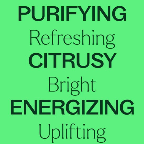 Lime Steam Distilled Essential Oil