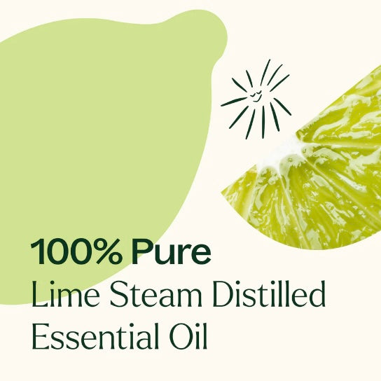 Lime Steam Distilled Essential Oil