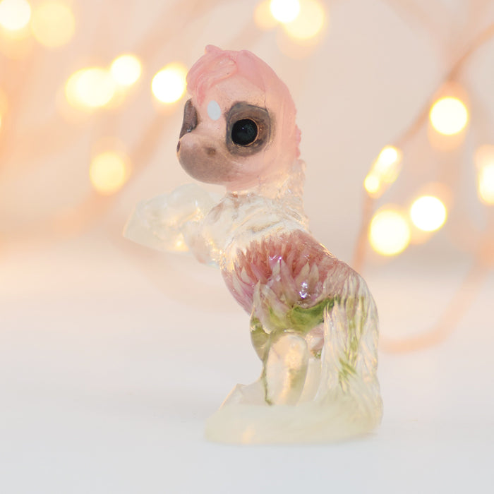 Pink Gomphrena GumiPoni