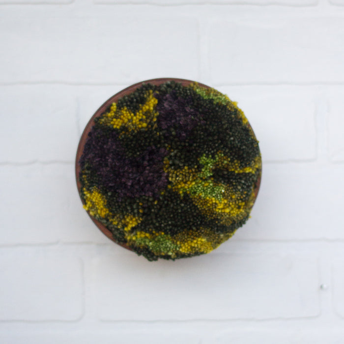 Puff Collection | Fluffy Green Wools in Vintage Teak Bowl
