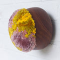 Puff Fiber Sculpture in Teak Frame | Pink + Yellow