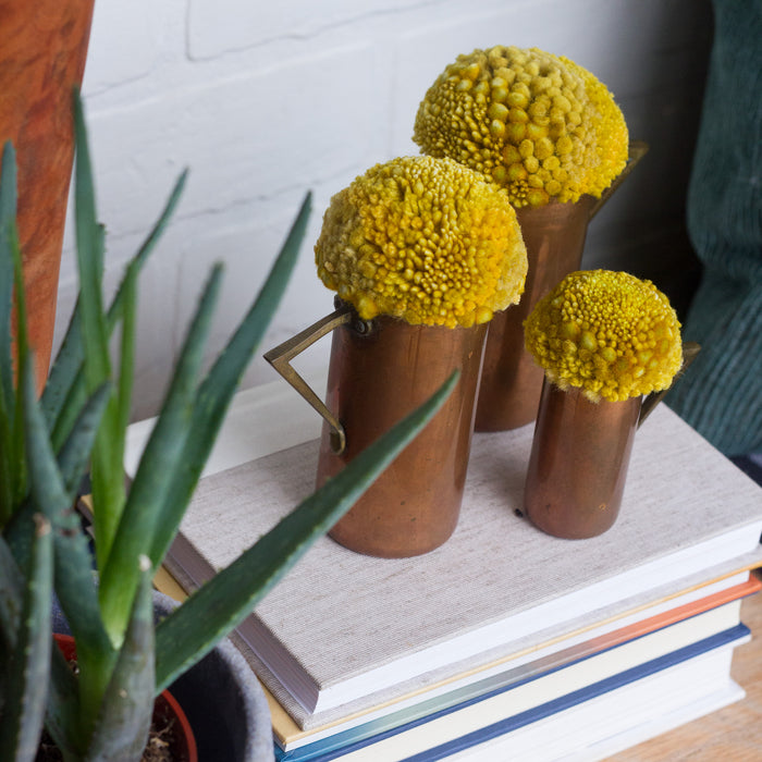 Puff Trio | Vintage Copper Measuring Cups with Mustard Puff