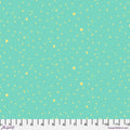 Remnant || True Colors - Tula Pink - Space Sprinkles - Seaglass