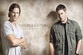 Supernatural Winchester Bros Wall Poster - Poster - Supernatural-Sickness