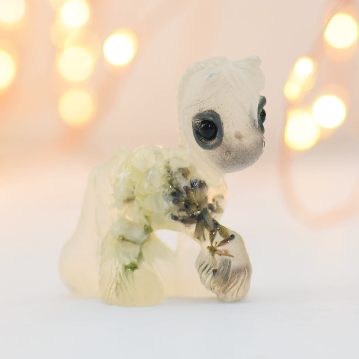White Ammobium & Lavender GumiPoni